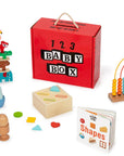 Montessori Educational Box (9-10 Months)