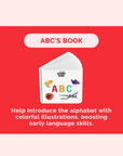 Montessori Educational Box (22-24 Months)