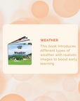 Montessori Educational Box (25-27 Months)