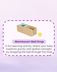 Montessori Educational Box (11-12 months)