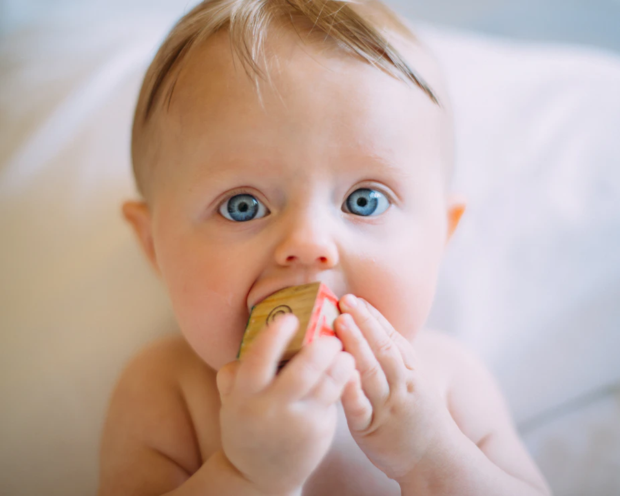 A baby chewing on a wooden block. 