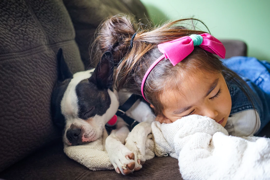 A little girl sleeping with a dog on a couch