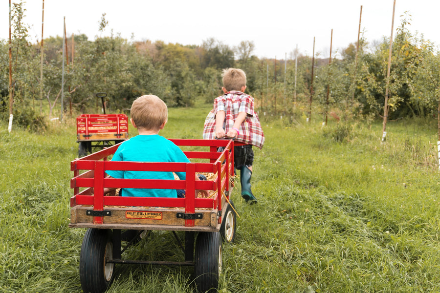 Top Wagons for Kids: A Parent’s Guide