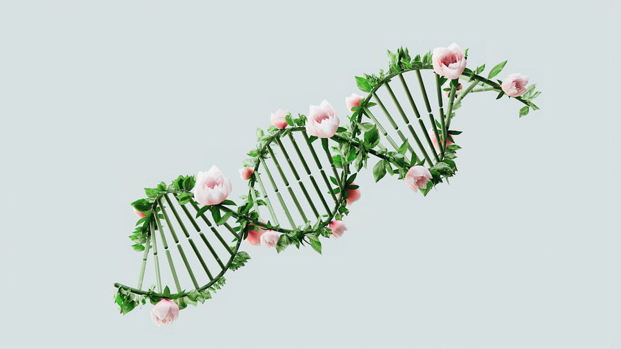 dna with flowers