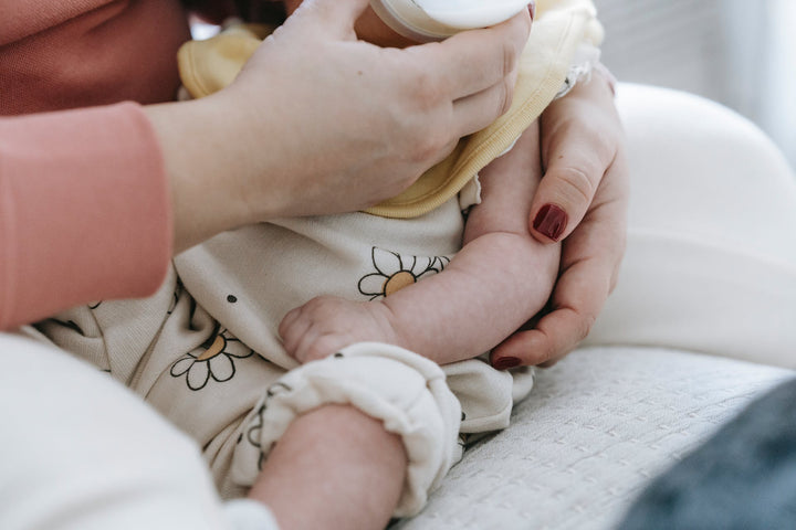 The sun shines down on a baby bassinet with a stuffed musical toy in it.