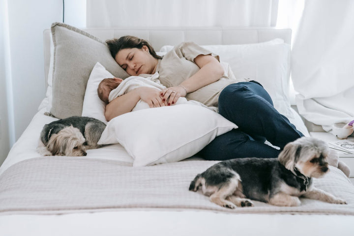 tired sleeping mom holding her baby with two dogs