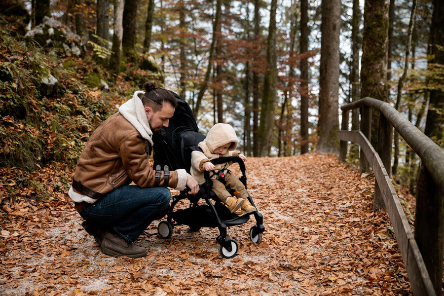 baby in a stroller in nature