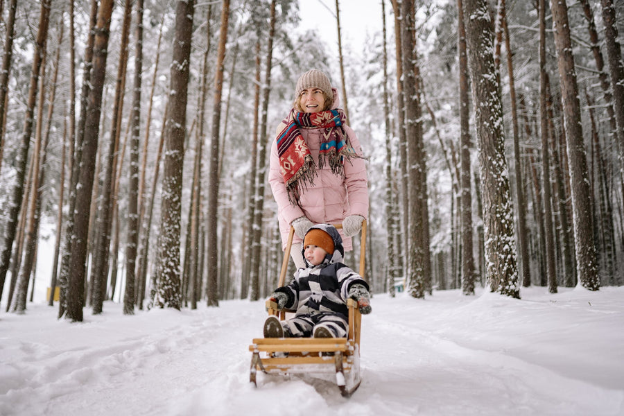 A mom pushes her infant on a sled through a snow filled forest 