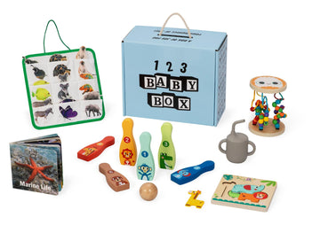 Montessori Educational Box (19-21 Months)