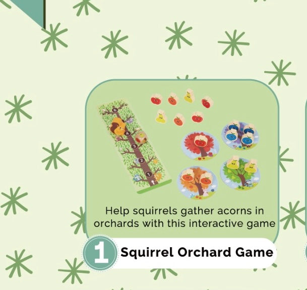 Montessori Educational Box (31-33 Months)