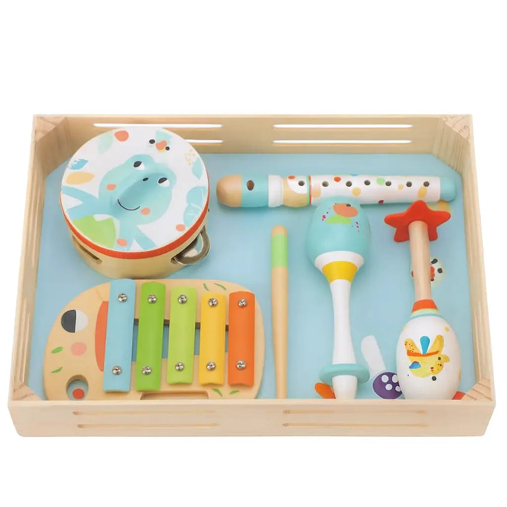 Music Instrument Set