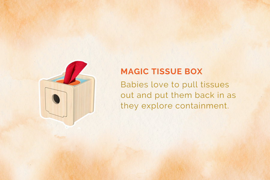 Montessori Educational Box (5-6 Months)