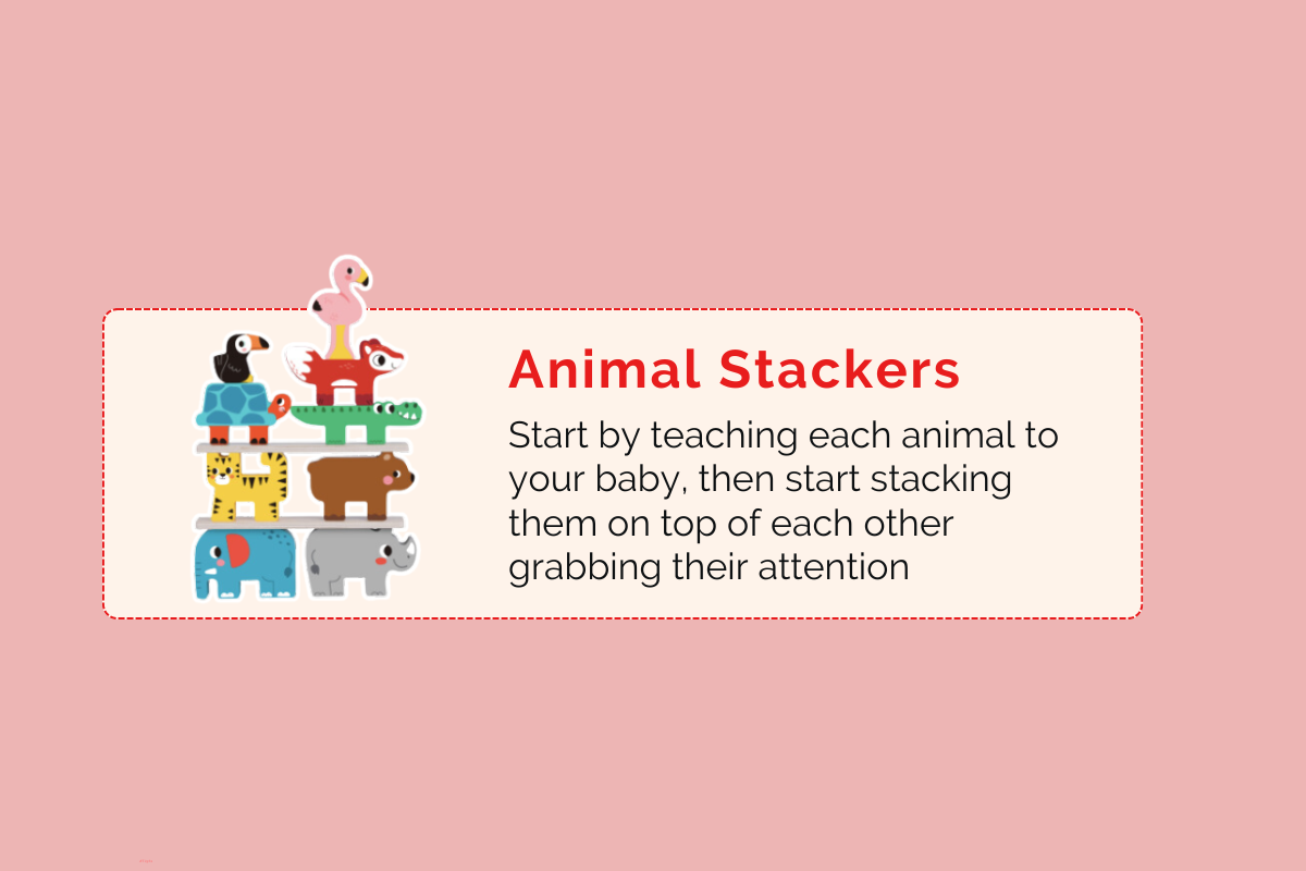 Montessori Educational Box (9-10 Months)