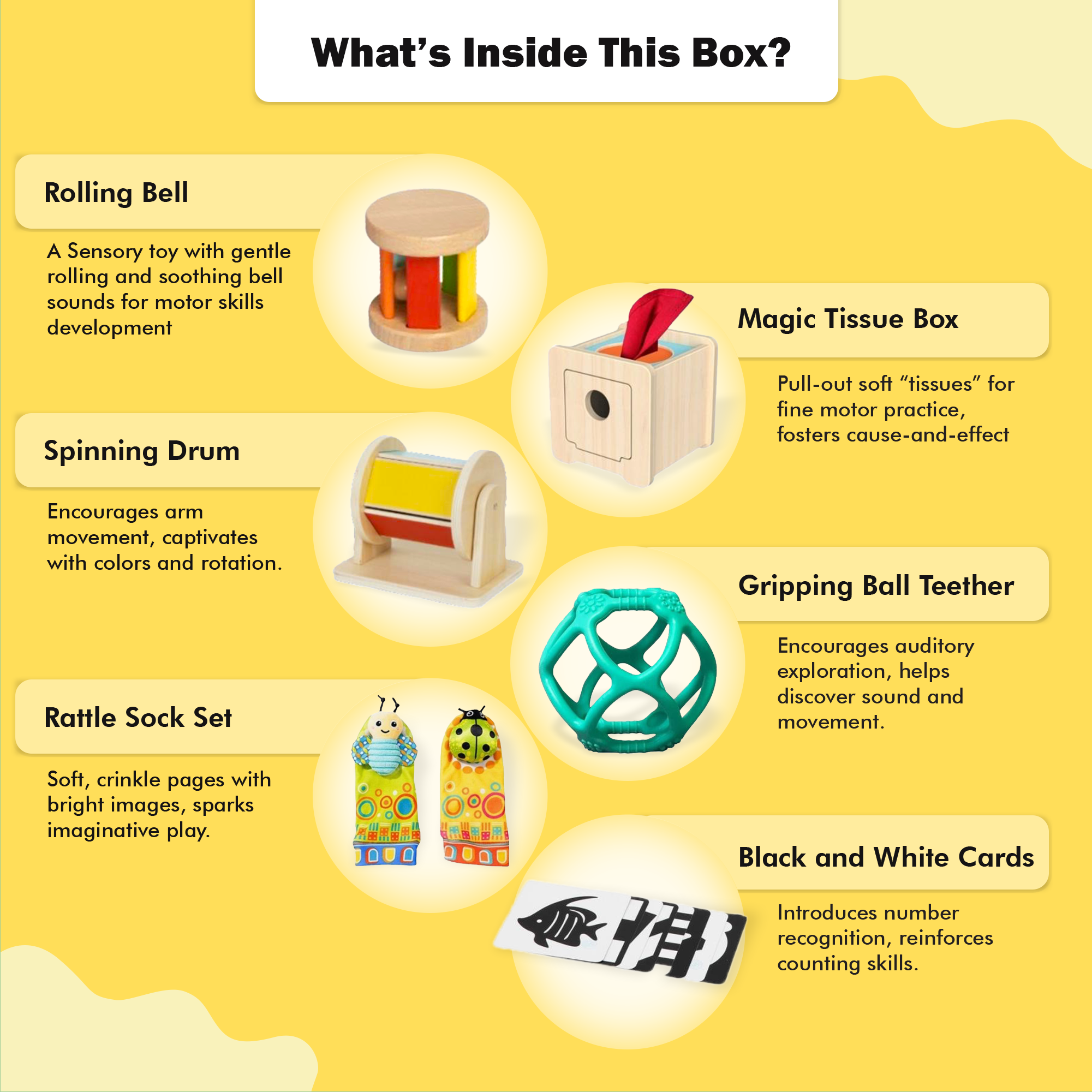 Montessori Educational Box (0-6 Months)