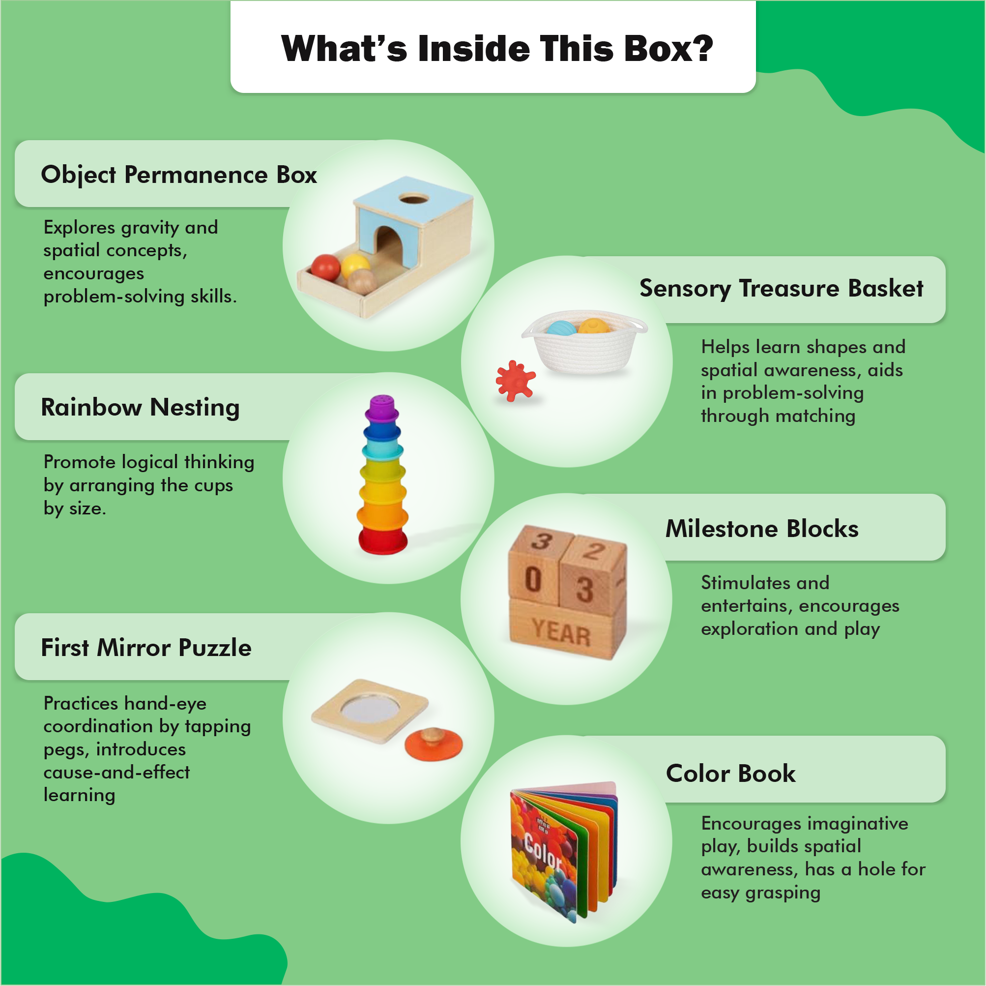 Montessori Educational Box (7-12 Months)