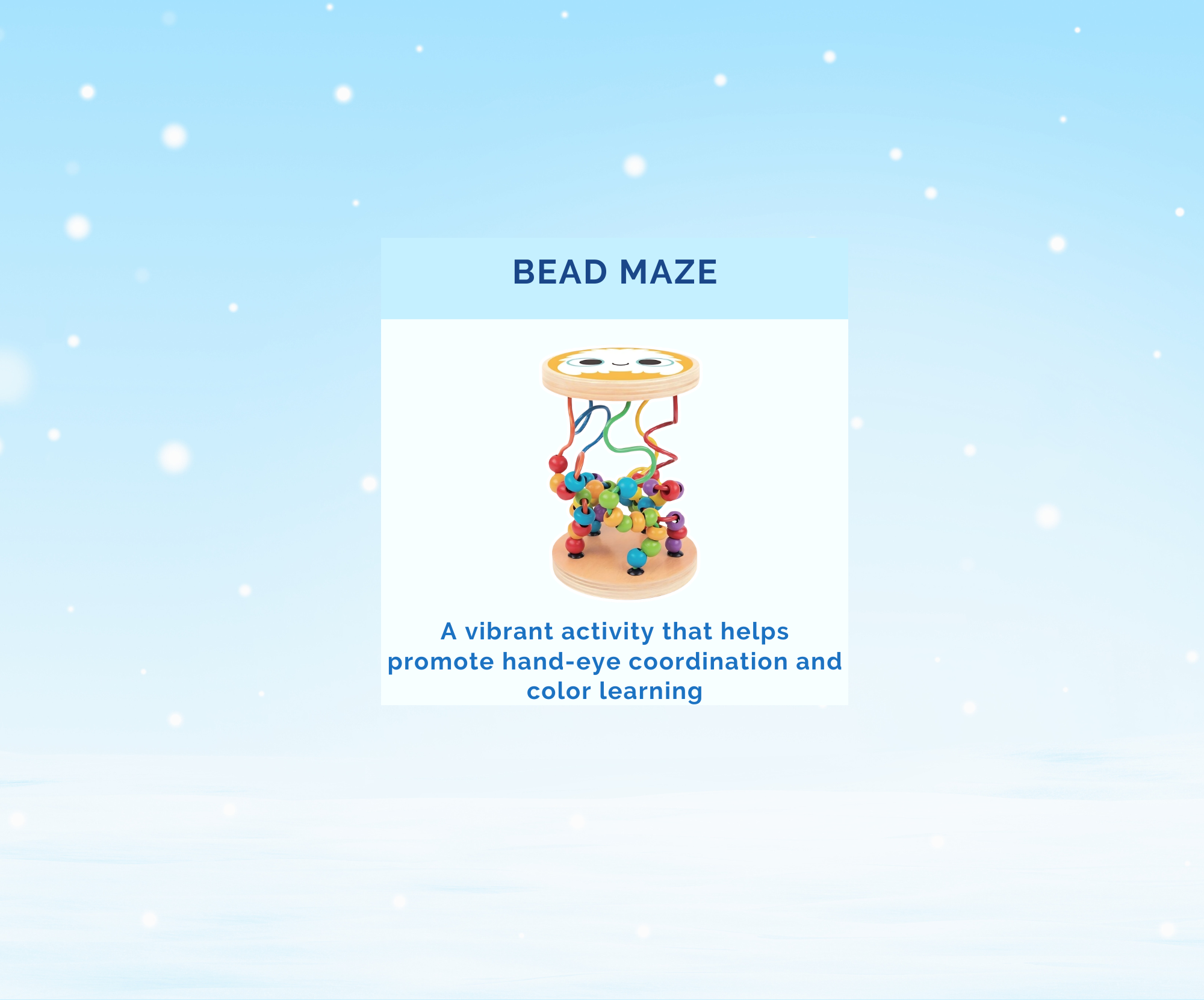 Montessori Educational Box (19-21 Months)