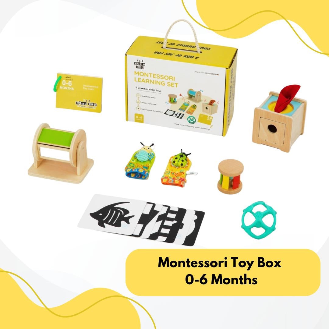 Montessori Educational Box (0-6 Months)