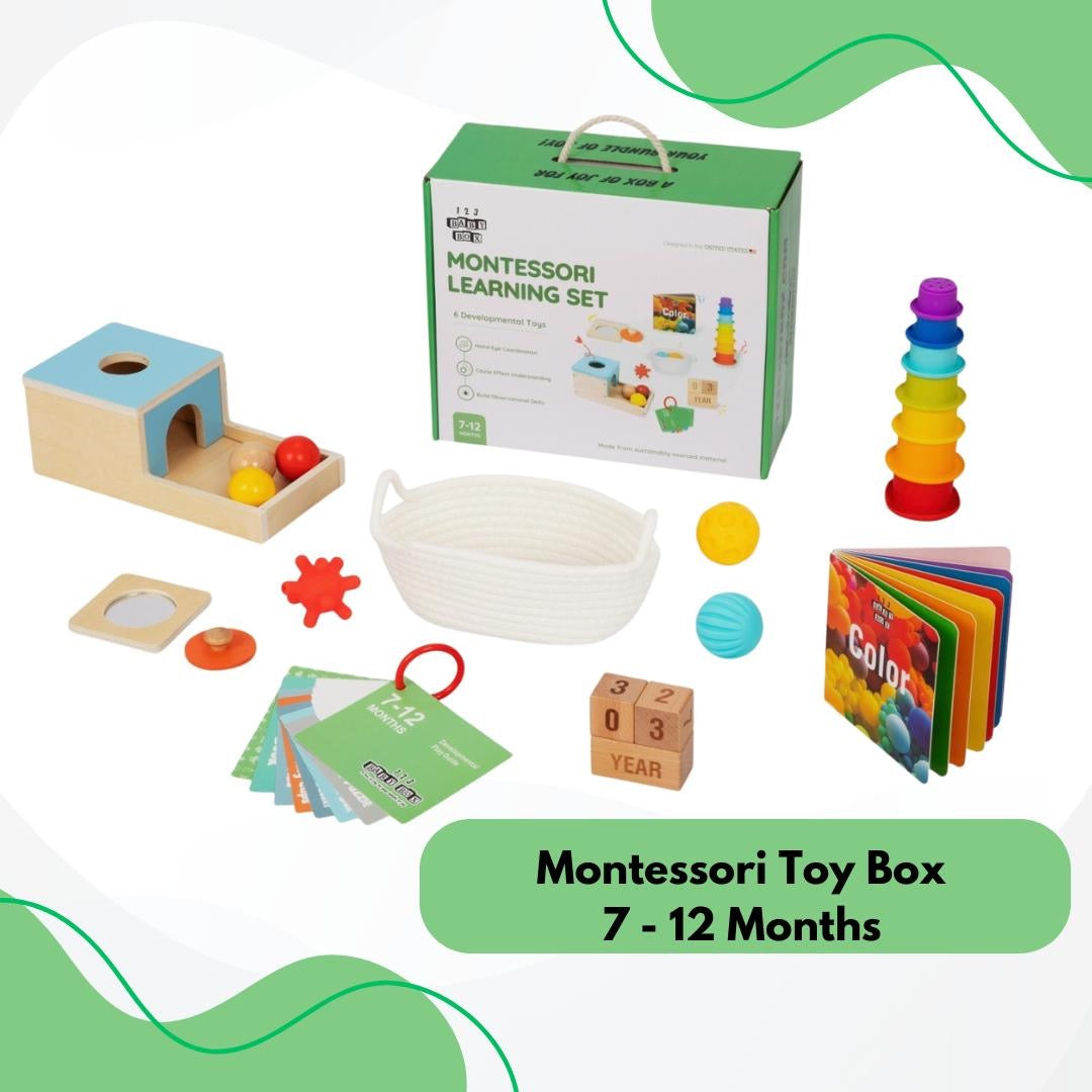 Montessori Educational Box (7-12 Months)
