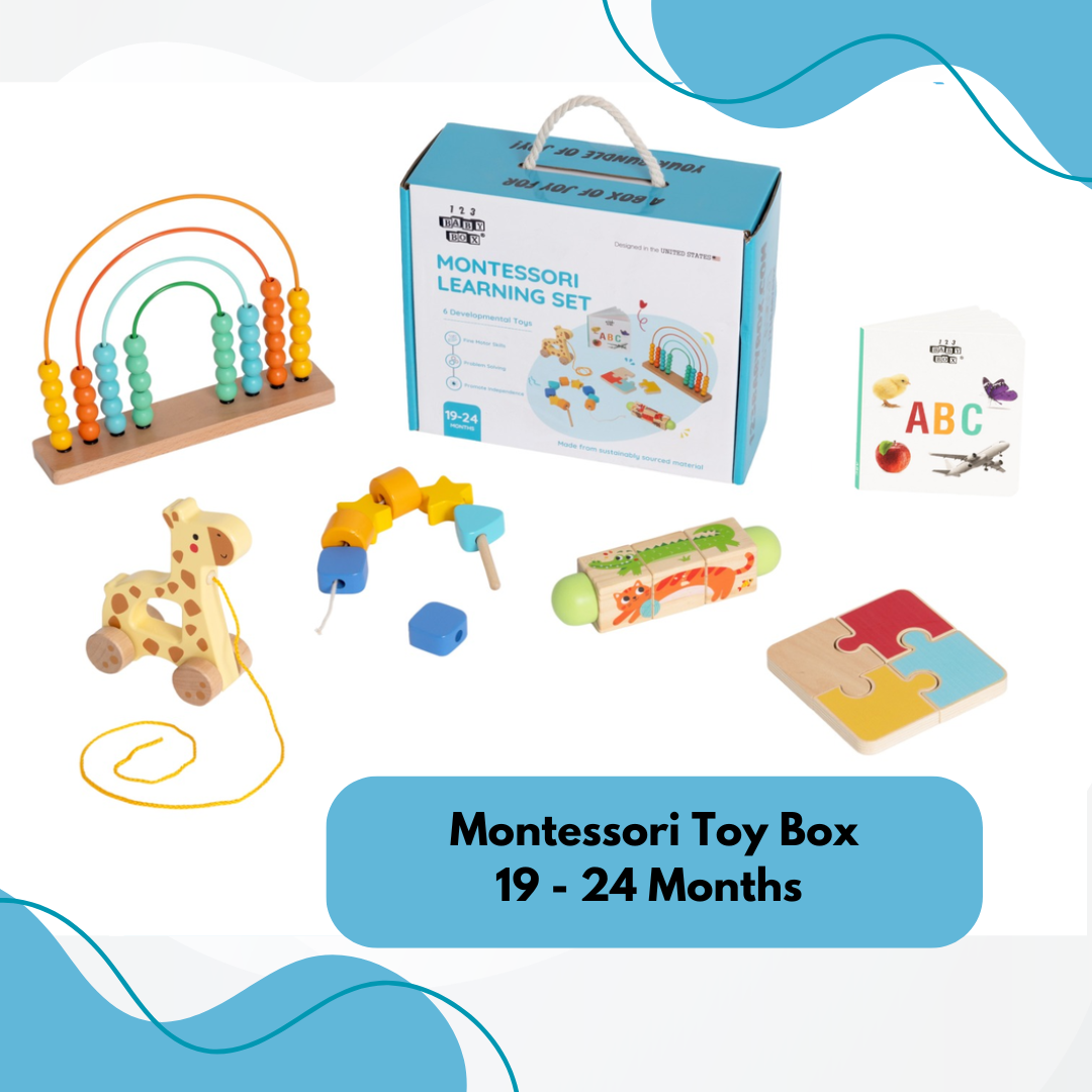 Montessori Educational Box (19-24 Months)
