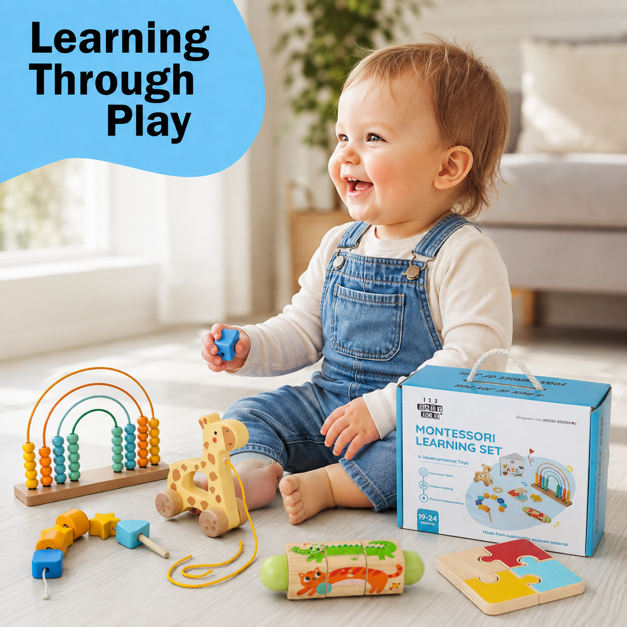 Montessori Educational Box (19-24 Months)