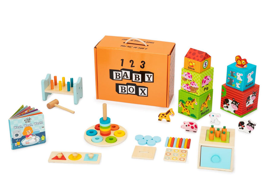 Montessori Educational Box (13-15 Months)