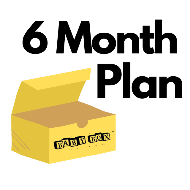 6 Month Subscription